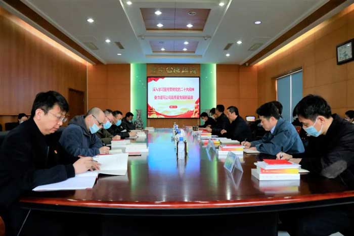 深入學(xué)習(xí)宣傳貫徹黨的二十大精神奮力譜寫公司高質(zhì)量發(fā)展新篇章(圖2)